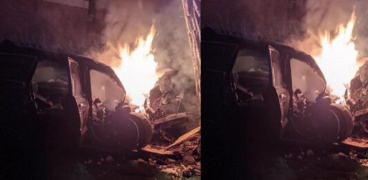KILLED IN CAR FIRE