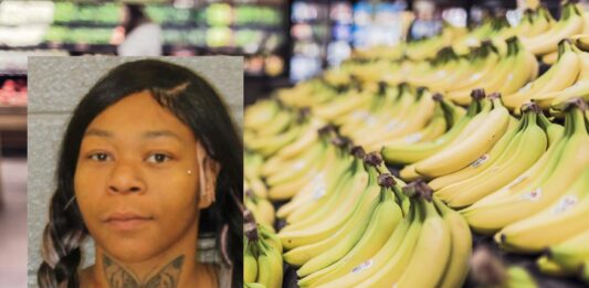 publix steal charlotte nc