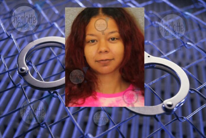 MOM ACCUSED OF LEAVING HER SON OUTSIDE IN RAIN WEARING UNDERWEAR, MOM ARRESTED ON PROSTITUTION CHARGE IN PAST