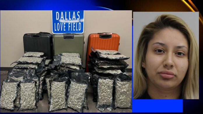 WOMAN CAUGHT WITH 75 POUNDS OF MARIJUANA AT DALLAS LOVE FIELD AIRPORT