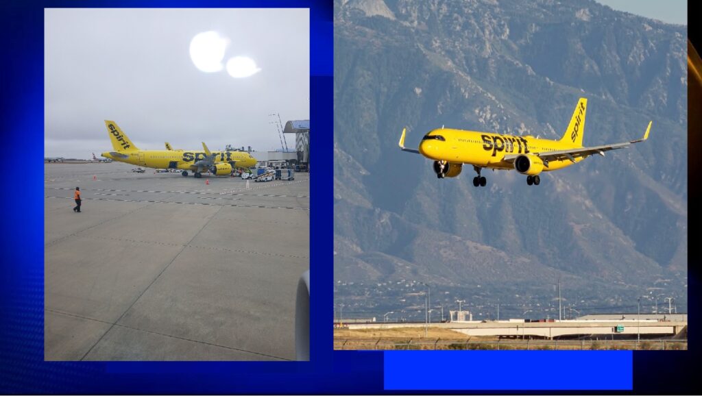 spirit airlines out of business