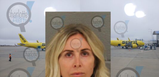 Elizabeth Trovato arrest Darryl Strawberry Baseball world series