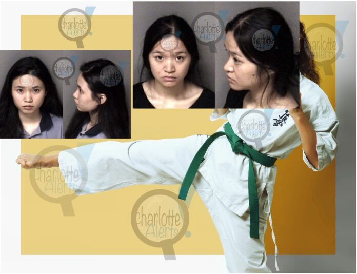 ASIAN FEMALE SISTERS GET INTO KARATE STYLE FIGHT WITH EACH OTHER