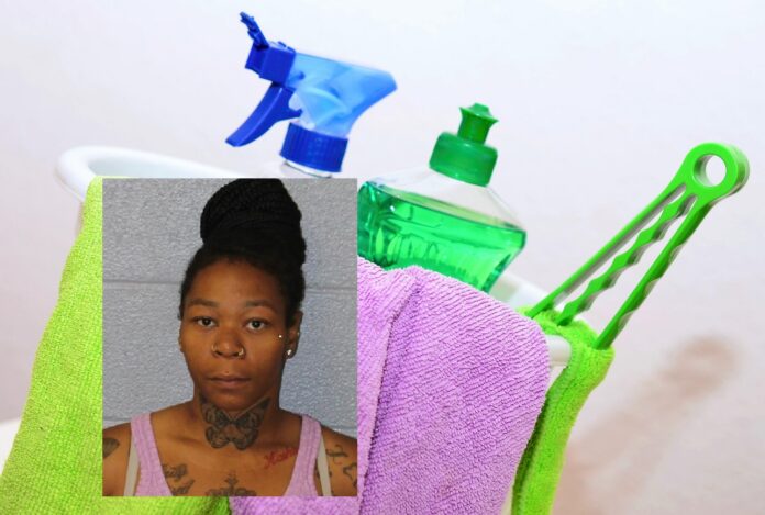 REPEAT FELON ACCUSED OF STEALING AIR FRESHNERS FROM FAMILY DOLLAR AND FOOD LION