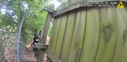 video police dog bites cop