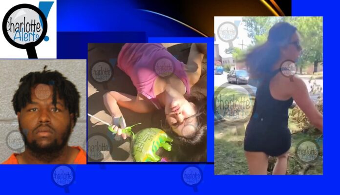 VIDEO: SUSPECT ARRESTED AFTER PUNCHING WOMEN ON STREET AND THEN ATE AT MCDONALD’S, WENT TO CRAZY HOUSE