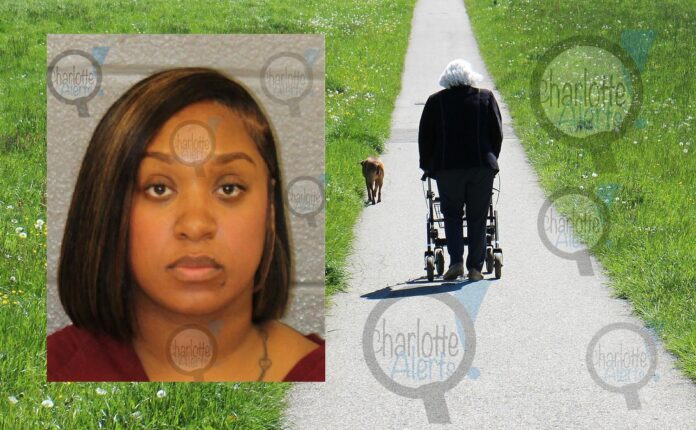 EMPLOYEE AT CARE GIVING COMPANY ARRESTED CHARGED WITH EXPLOITATION OF ELDERLY