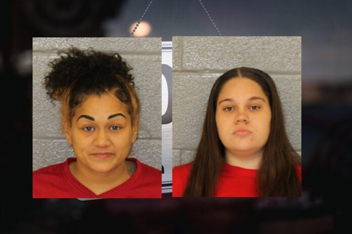 2 FAMILY DOLLAR EMPLOYEES ARRESTED CHARGED WITH STEALING FROM THE STORE