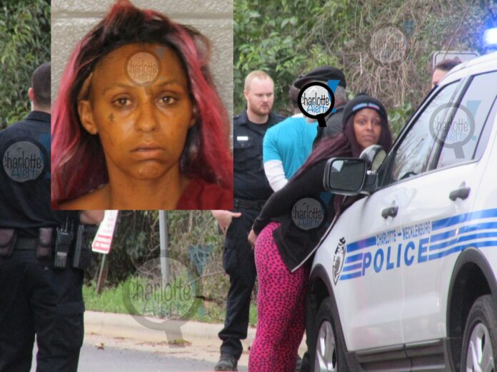 WOMAN WITH CHRONIC CRACK COCAINE USE ARRESTED CHARGED WITH STEALING MAN’S CAR
