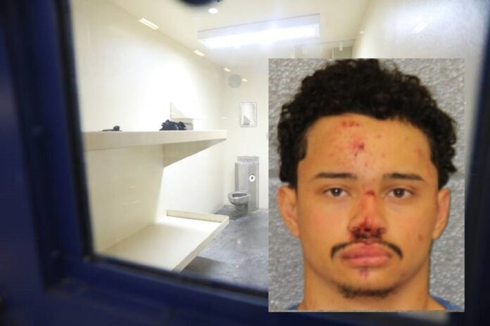 VICTIM KILLED IN CAR CRASH, SUSPECT PLEADS GUILTY