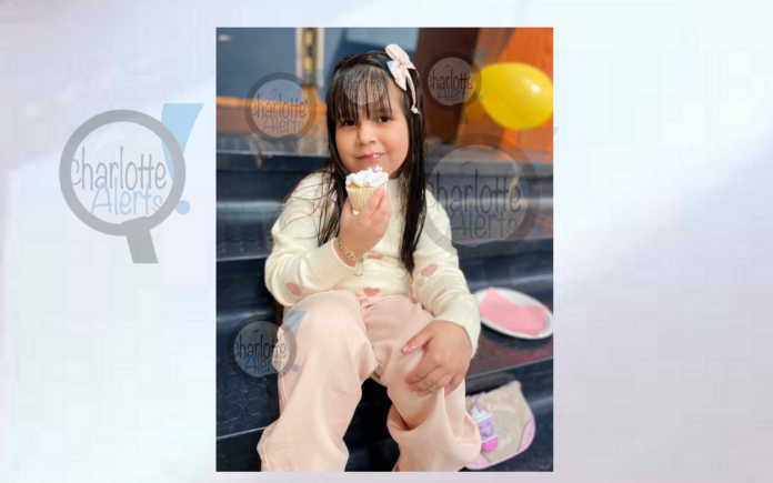 LITTLE GIRL KILLED IN HIT AND RUN CRASH WHILE RIDING BICYCLE