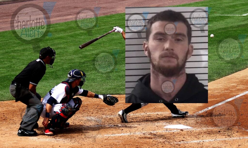 umpire baseball arrest